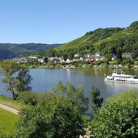 Inselblick Zell Mosel Ferienhaus