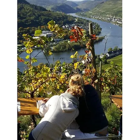 Inselblick Zell Mosel *