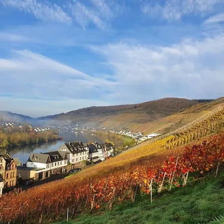 Ferienhaus Inselblick Zell Mosel Merl
