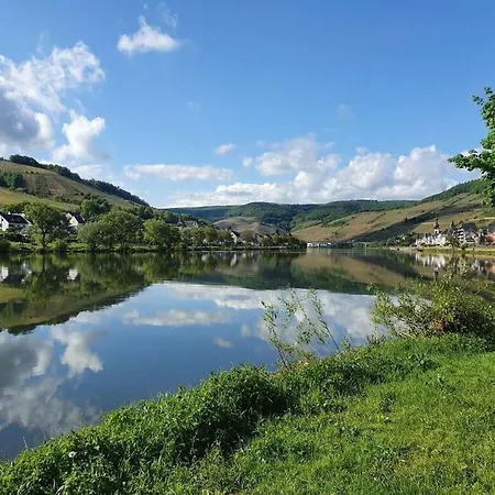 Inselblick Zell Mosel Merl