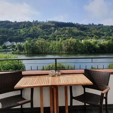 Inselblick Zell Mosel