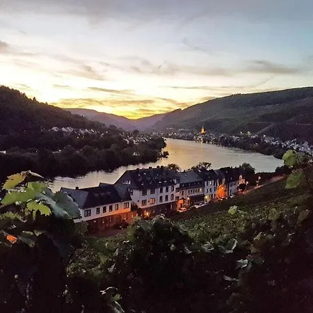 Inselblick Zell Mosel