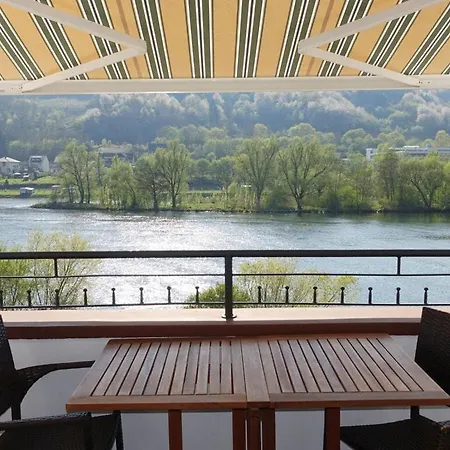 Inselblick Zell Mosel