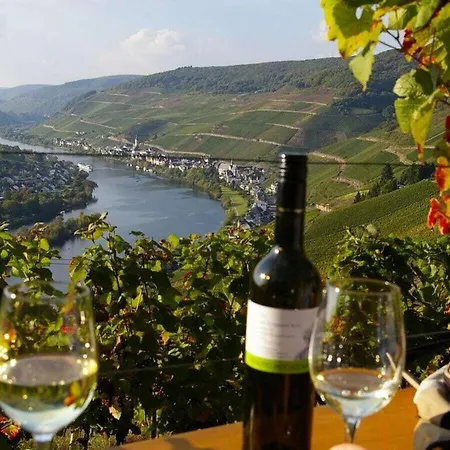Inselblick Zell Mosel Ferienhaus Merl