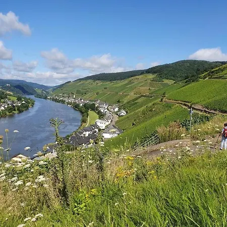 Inselblick Zell Mosel * Merl