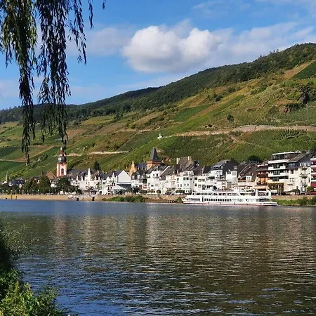Ferienhaus Inselblick Zell Mosel